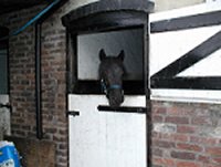 Midland West Fell Pony Area Support Group