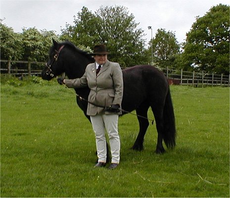 Midland West Fell Pony Area Support Group