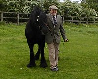Midland West Fell Pony Area Support Group