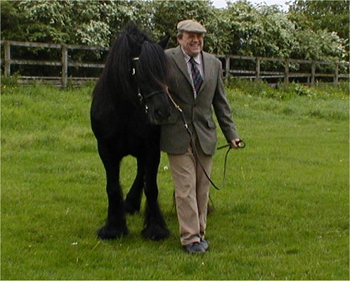 Midland West Fell Pony Area Support Group