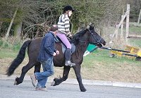 Midland West Fell Pony Support Group Showing clinic 2010