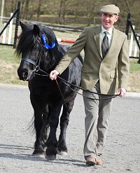 Midland West Fell Pony Support Group Showing clinic 2010