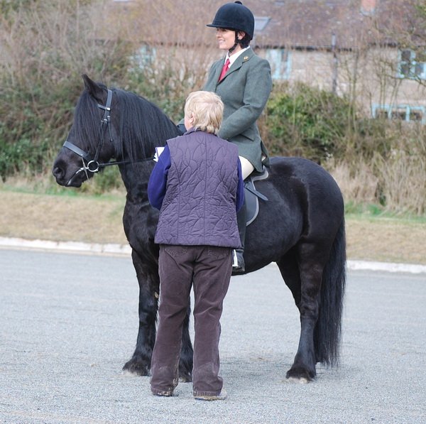 Midland West Fell Pony Support Group Showing clinic 2010