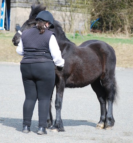 Midland West Fell Pony Support Group Showing clinic 2010