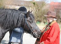 Midland West Fell Pony Support Group Showing clinic 2010