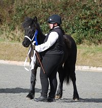 Midland West Fell Pony Support Group Showing clinic 2010