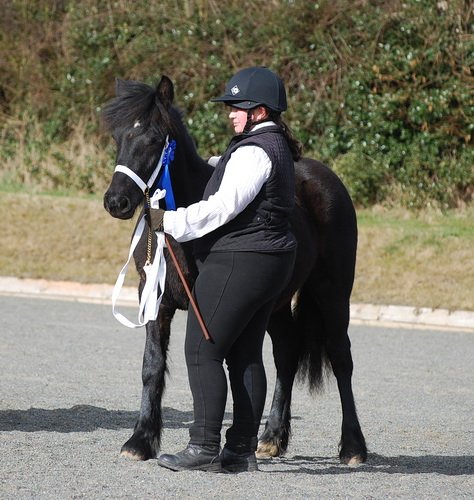 Midland West Fell Pony Support Group Showing clinic 2010