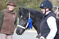 Midland West Fell Pony Support Group Showing clinic 2010