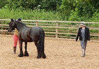 Midlands West Fell Pony Support Group Derbyshire Show 2016