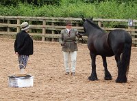 Midlands West Fell Pony Support Group Derbyshire Show 2016
