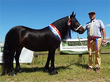 Fell and Dales Show 2017