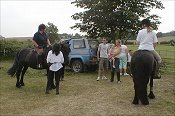 Midland West Fell Pony Area Support Group - Fell Pony Trotting