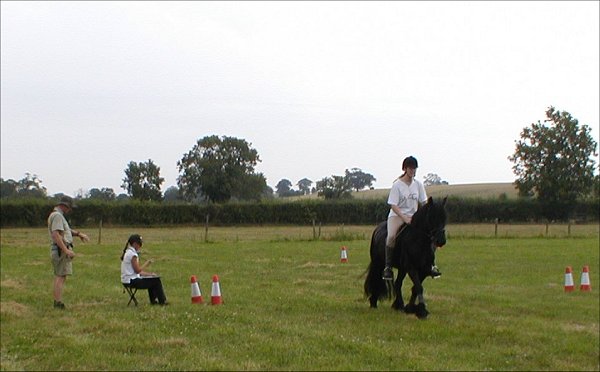 Midland West Fell Pony Area Support Group - Fell Pony Trotting