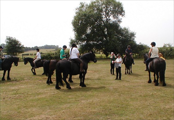 Midland West Fell Pony Area Support Group - Fell Pony Trotting