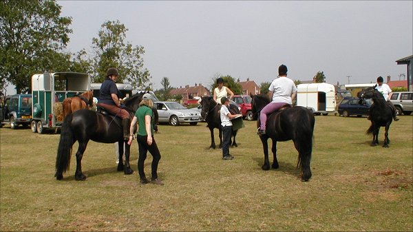 Midland West Fell Pony Area Support Group - Fell Pony Trotting