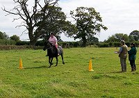 fell pony trotting race