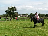 fell pony trotting race