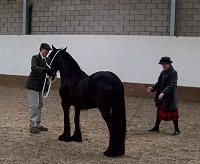 Midlands West Fell Pony Support Group Oswestry Show 2014